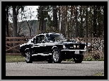 1967, Zabytkowy, Ford Mustang Shelby GT350