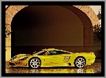 Saleen S7, Boczne, Powietrza, Wloty