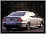 E39, BMW Seria M, BMW 5