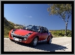 Smart Roadster, Czerwony